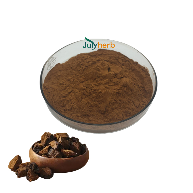 Chaga Mushroom Extract