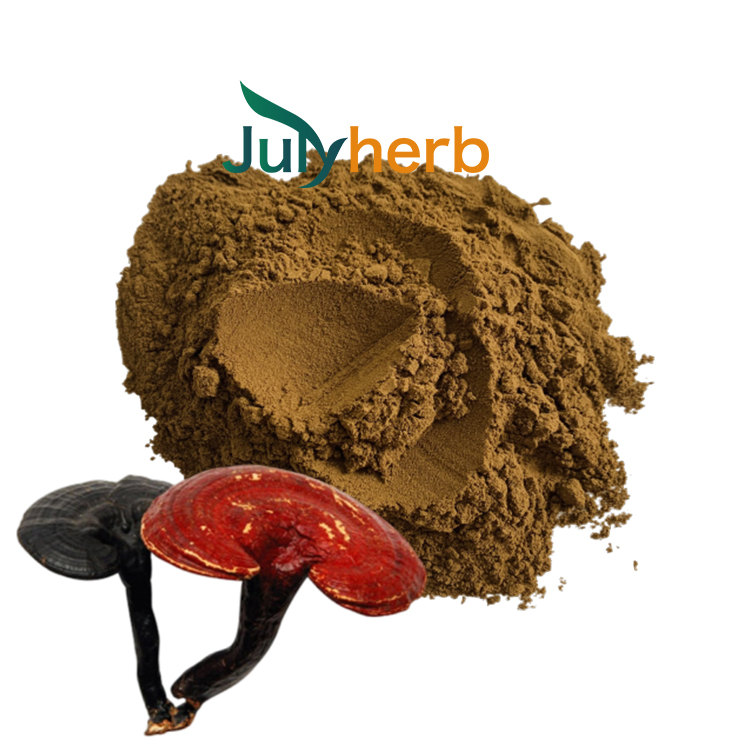 shell broke ganoderma lucidum spore powder