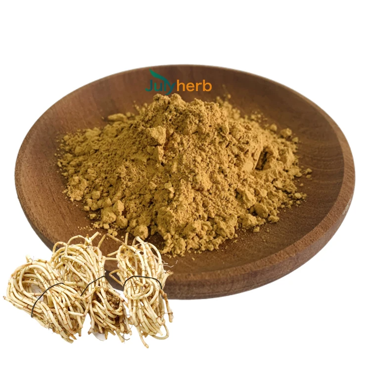 houttuynia cordata extract powder