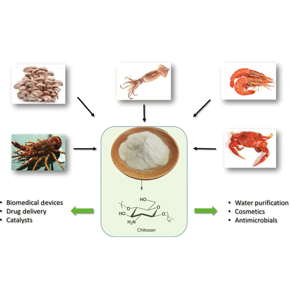 Chitosan