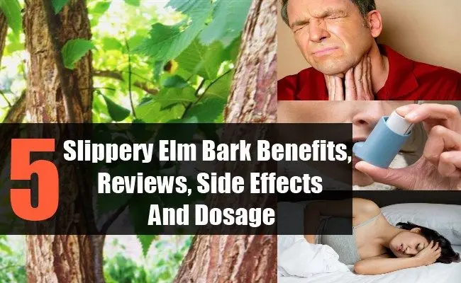 Slippery Elm Bark Capsules