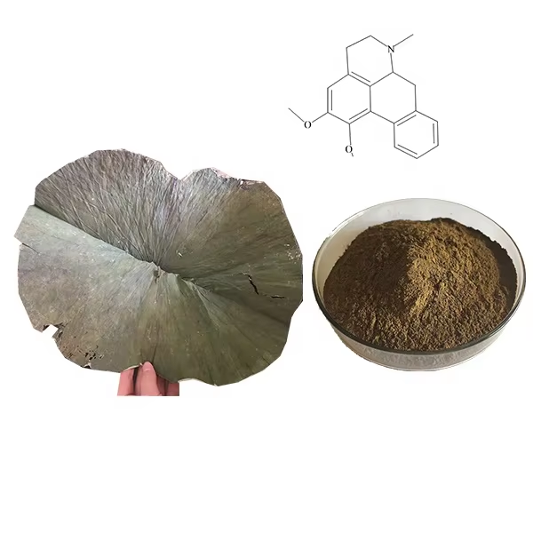 lotus leaf extract