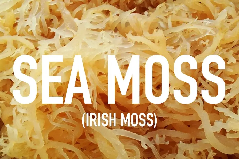 sea moss extract